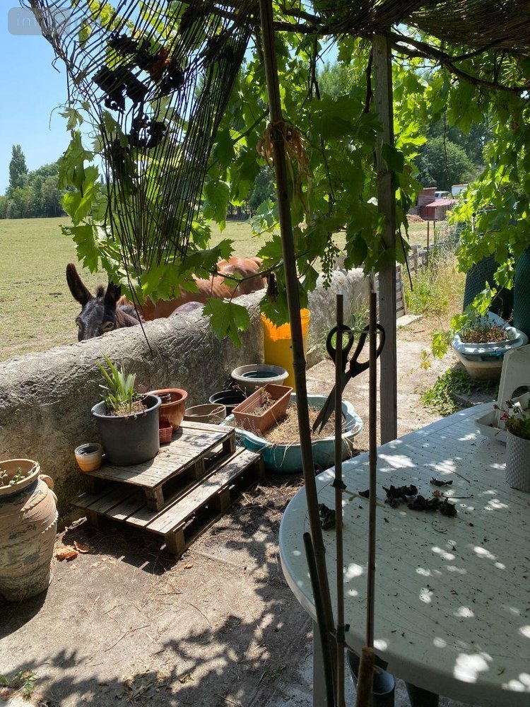 Maison a vendre Clion 36700 Indre 89 m2 4 pièces 75400 euros