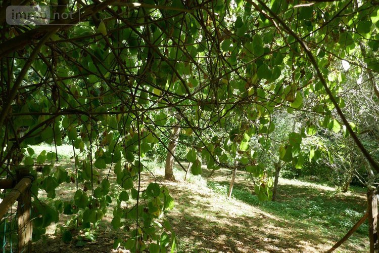 Maison a vendre Le Menoux 36200 Indre 84 m2 4 pièces 95400 euros