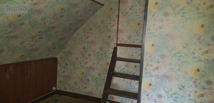 Maison a vendre Mennetou-sur-Cher 41320 Loir-et-Cher 50 m2 3 pièces 23780 euros