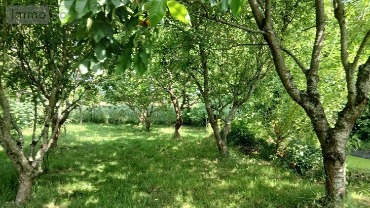 Maison a vendre Carentoir 56910 Morbihan 188 m2 7 pièces 299000 euros