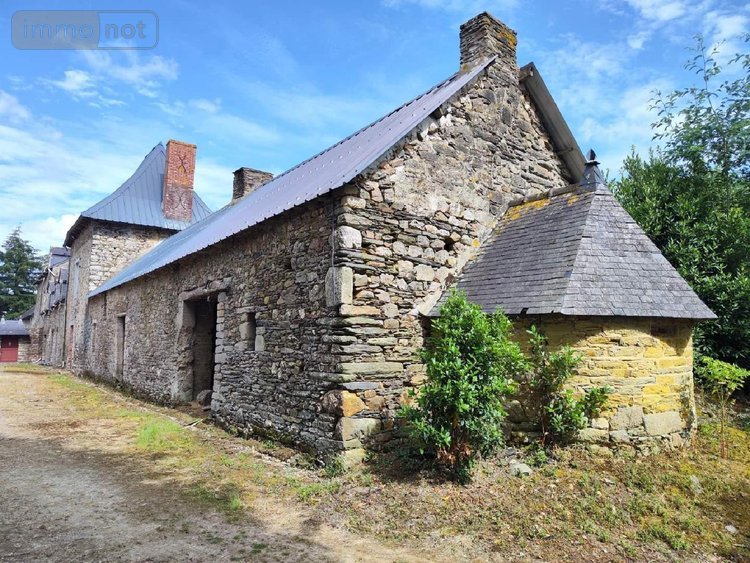 propriete a vendre Carentoir 56910 Morbihan 295 m2 6 pièces 630000 euros