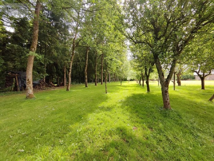 propriete a vendre Carentoir 56910 Morbihan 295 m2 6 pièces 593000 euros