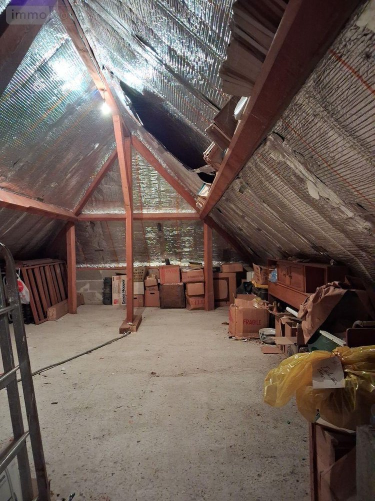 Maison a vendre Wassy 52130 Haute-Marne 158 m2 5 pièces 223800 euros