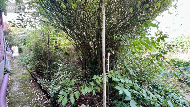 Maison a vendre Esquelbecq 59470 Nord 95 m2 4 pièces 189000 euros