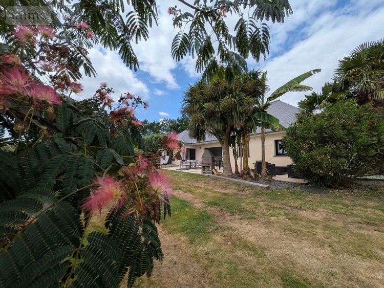 Maison a vendre Locunolé 29310 Finistère 198 m2  493525 euros