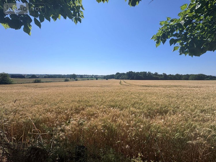 Maison a vendre Séreilhac 87620 Haute-Vienne 186 m2 3 pièces 149450 euros