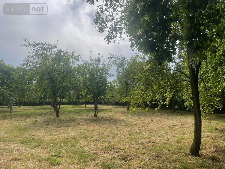 Maison a vendre Sains-du-Nord 59177 Nord 210 m2 8 pièces 230000 euros