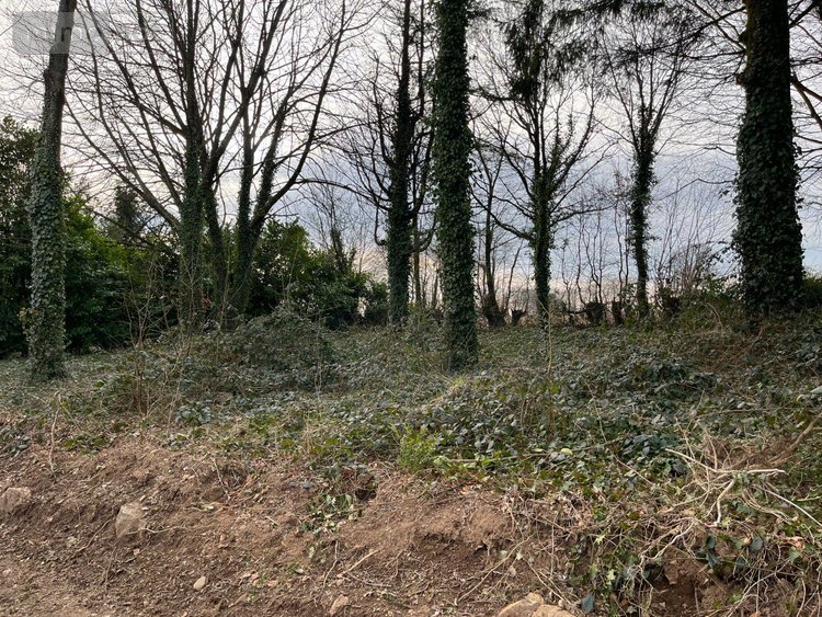 Maison a vendre Vengeons 50150 Manche 164 m2 8 pièces 194397 euros