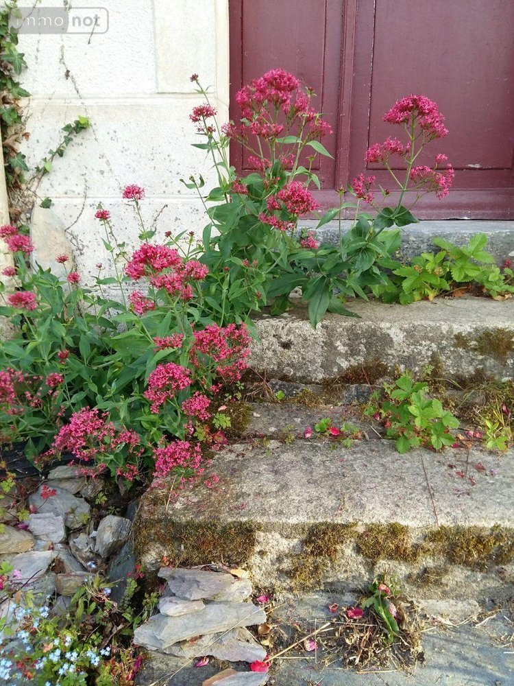 Maison a vendre La Gacilly 56200 Morbihan 105 m2 3 pièces 188640 euros