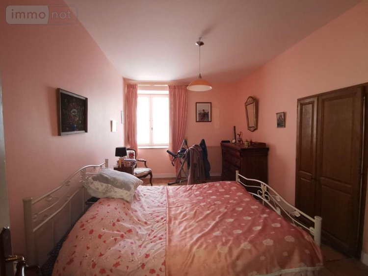 Viager maison Noyant-Villages 49490 Maine-et-Loire 183 m2 11 pièces 100000 euros