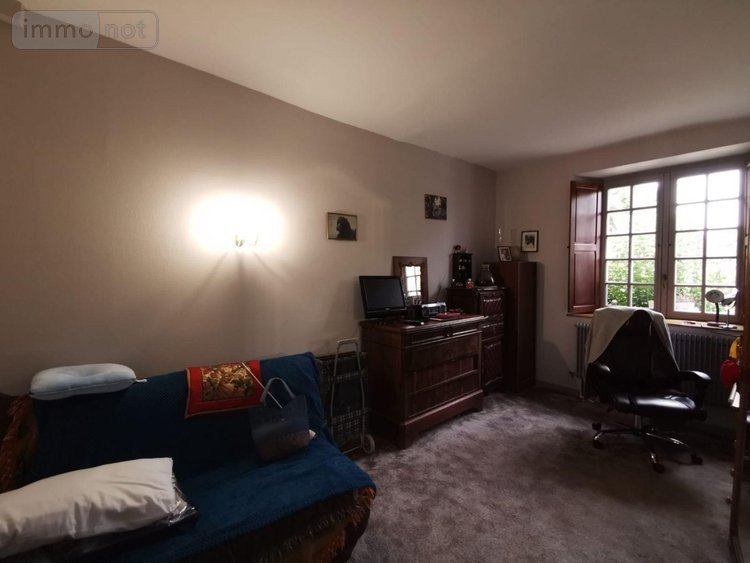 Viager maison Noyant-Villages 49490 Maine-et-Loire 183 m2 11 pièces 100000 euros