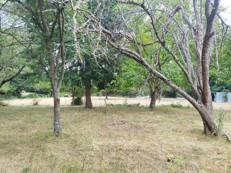 Maison a vendre Vijon 36160 Indre 75 m2 3 pièces 43000 euros