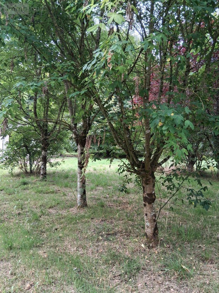 Maison a vendre Breil 49490 Maine-et-Loire 120 m2 6 pièces 63600 euros