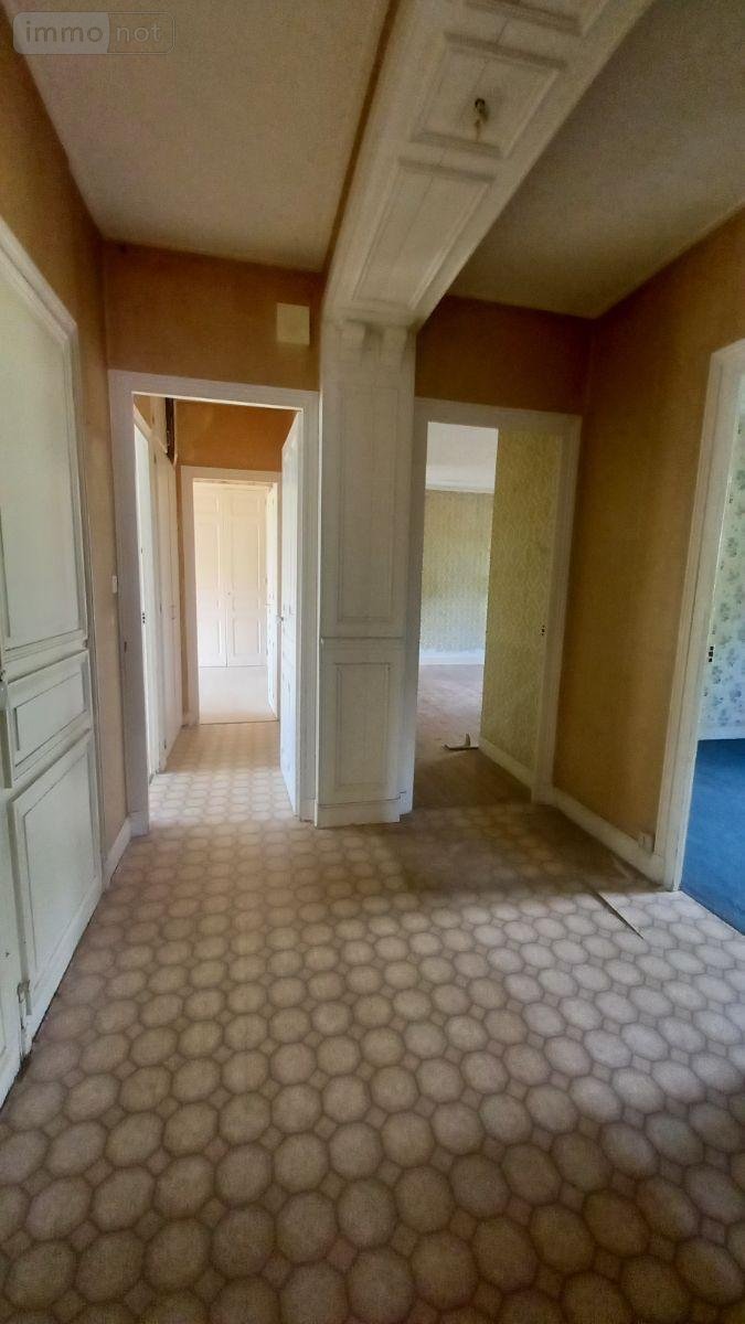 Maison a vendre Vic-sur-Cère 15800 Cantal 308 m2  138300 euros