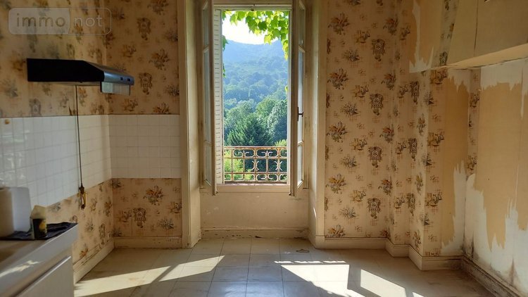Maison a vendre Vic-sur-Cère 15800 Cantal 308 m2  159300 euros