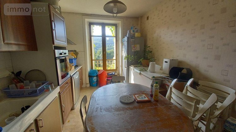 Maison a vendre Vic-sur-Cère 15800 Cantal 308 m2  138300 euros