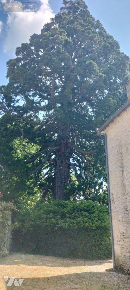 Maison a vendre Périgné 79170 Deux-Sèvres 338 m2 10 pièces 435700 euros