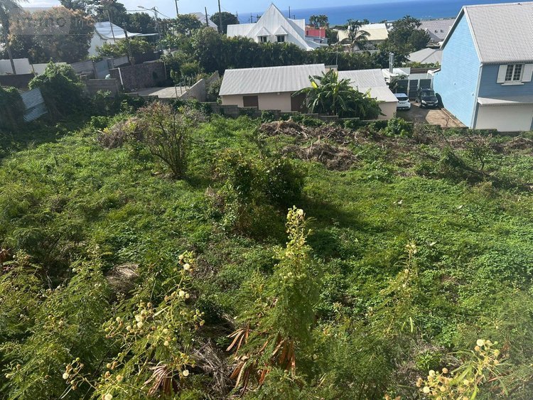 Terrain a batir a vendre Saint-Denis 97400 Réunion 2623 m2  1080500 euros