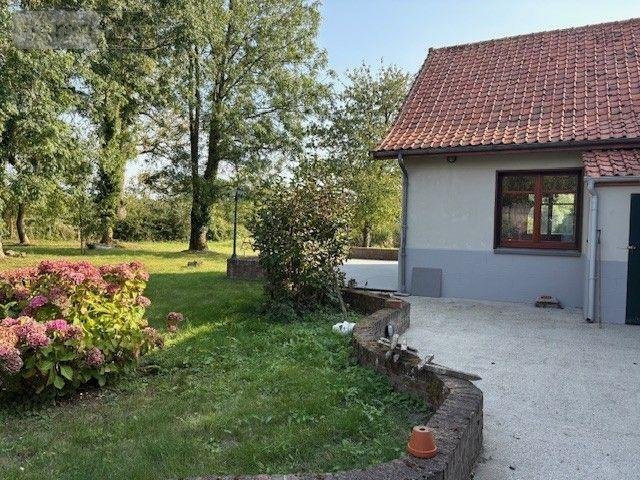 Maison a vendre Maintenay 62870 Pas-de-Calais 335 m2 13 pièces 527850 euros