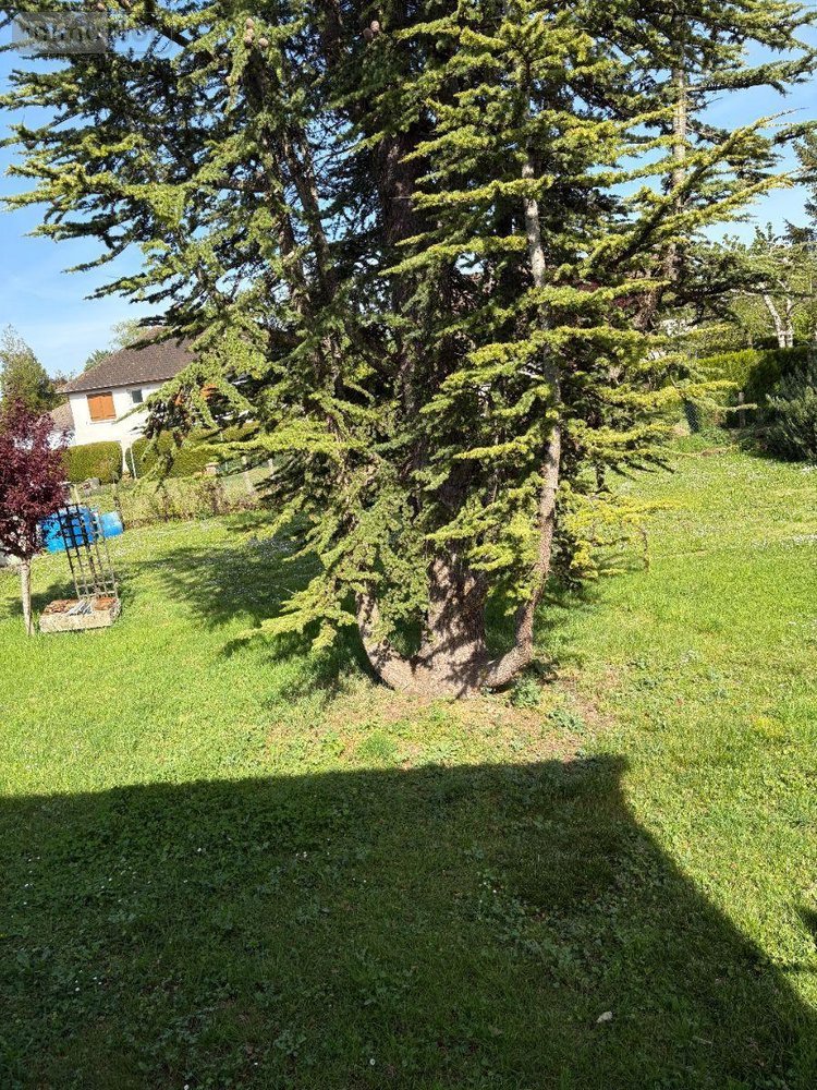 Maison a vendre Levroux 36110 Indre 96 m2 4 pièces 121900 euros