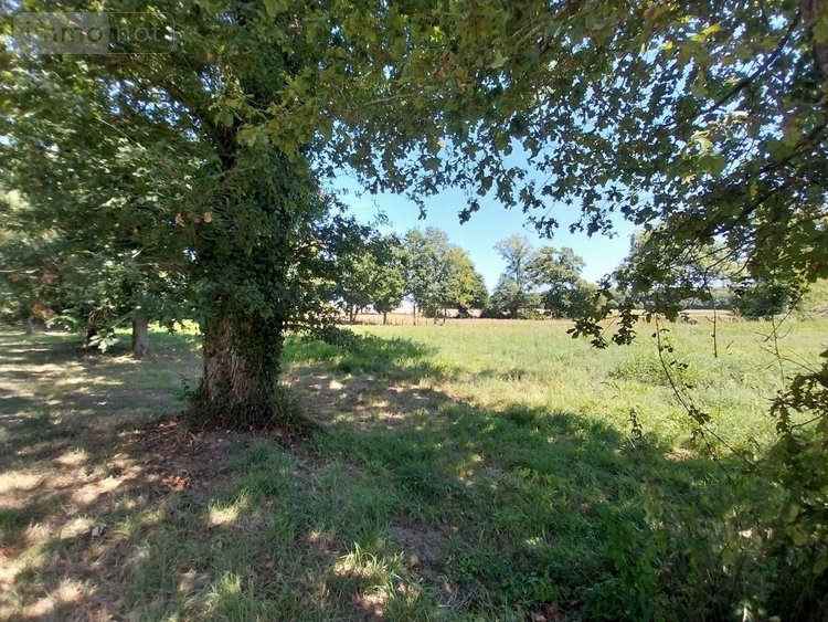 Terrains de loisirs bois etangs a vendre Drouges 35130 Ille-et-Vilaine 19234 m2  59800 euros