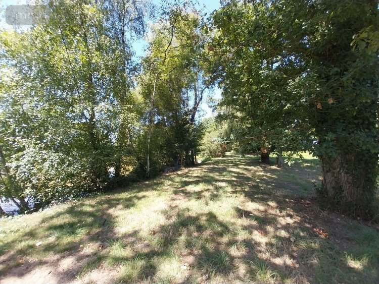 Terrains de loisirs bois etangs a vendre Drouges 35130 Ille-et-Vilaine 19234 m2  59800 euros