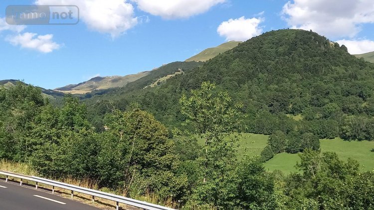 Maison a vendre Saint-Jacques-des-Blats 15800 Cantal 78 m2 2 pièces 106383 euros