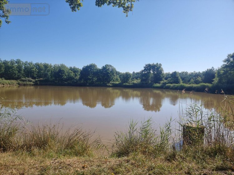 Terrains de loisirs bois etangs a vendre Veilleins 41230 Loir-et-Cher 25600 m2  79050 euros