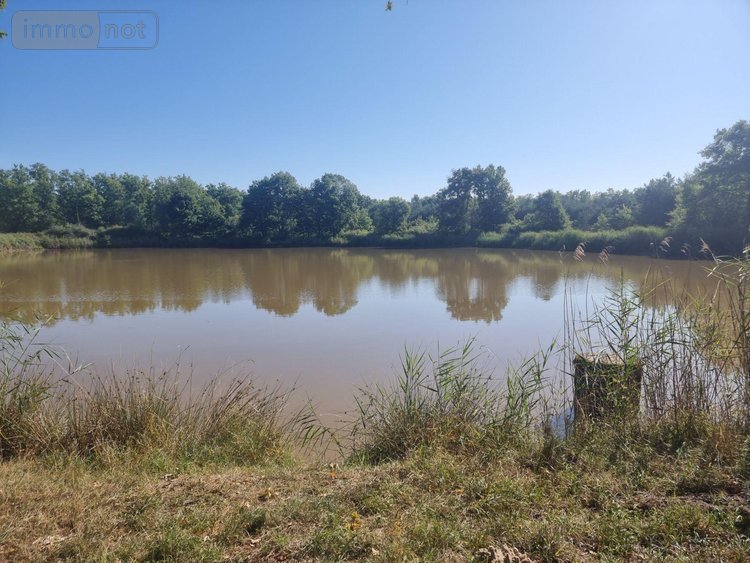 Terrains de loisirs bois etangs a vendre Veilleins 41230 Loir-et-Cher 25600 m2  79050 euros