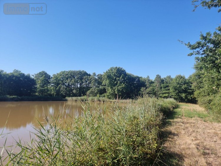 Terrains de loisirs bois etangs a vendre Veilleins 41230 Loir-et-Cher 25600 m2  79050 euros