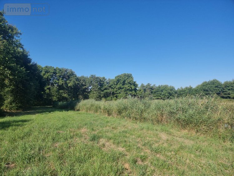 Terrains de loisirs bois etangs a vendre Veilleins 41230 Loir-et-Cher 25600 m2  79050 euros