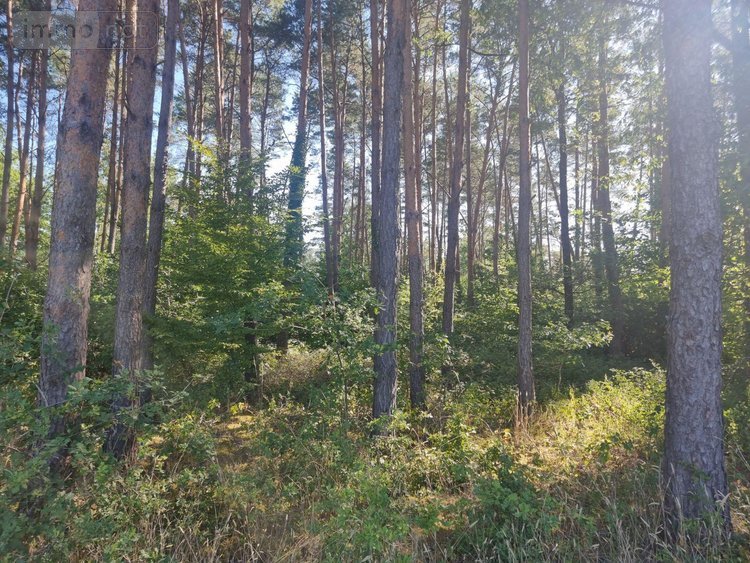 Terrains de loisirs bois etangs a vendre Veilleins 41230 Loir-et-Cher 25600 m2  79050 euros