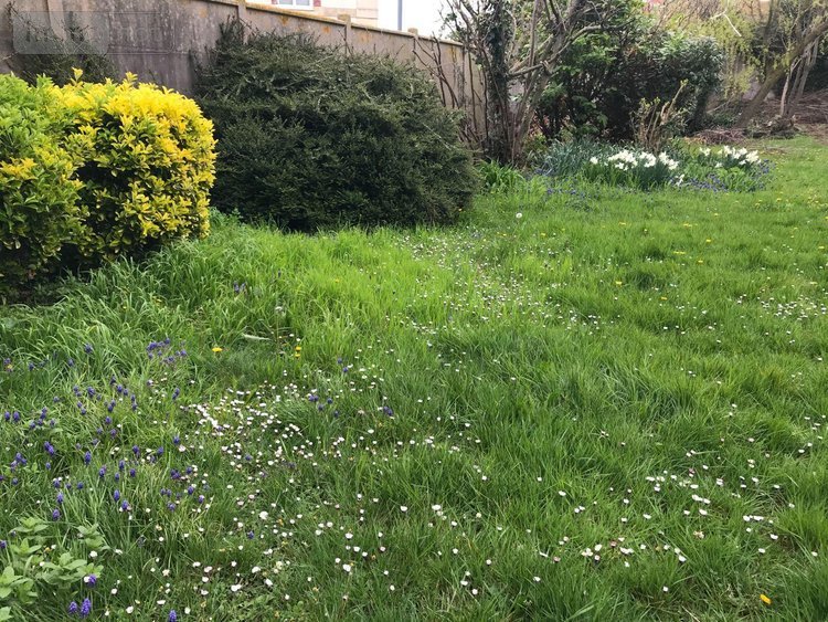 Appartement a vendre Le Tréport 76470 Seine-Maritime 98 m2 4 pièces 314600 euros