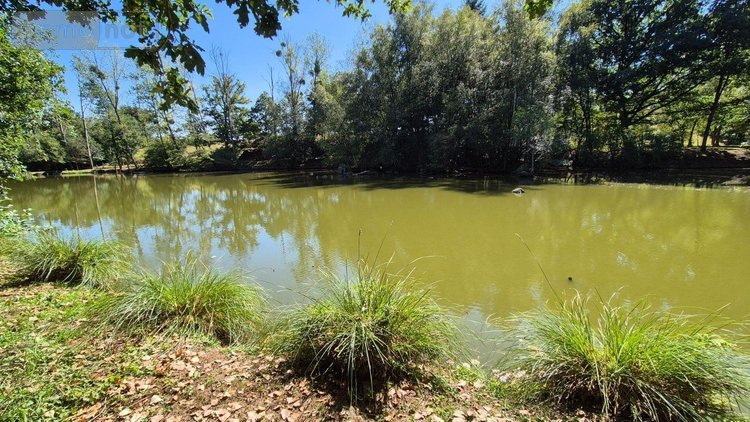 Terrains de loisirs bois etangs a vendre Gorron 53120 Mayenne 16200 m2  105280 euros