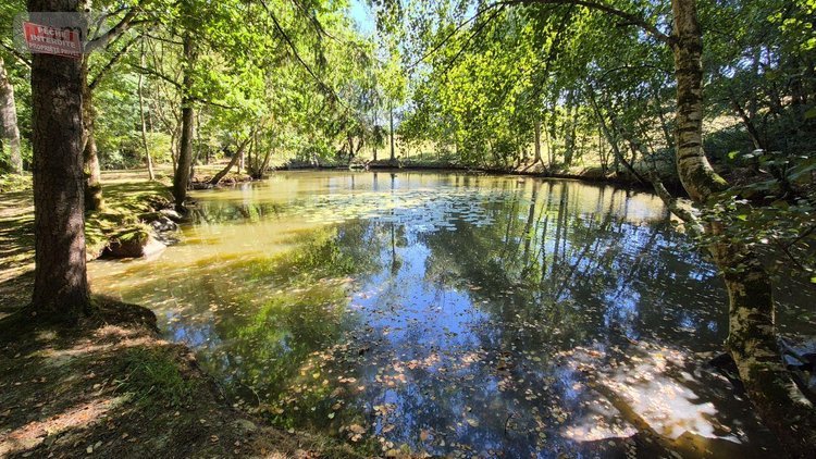 Terrains de loisirs bois etangs a vendre Gorron 53120 Mayenne 16200 m2  105280 euros