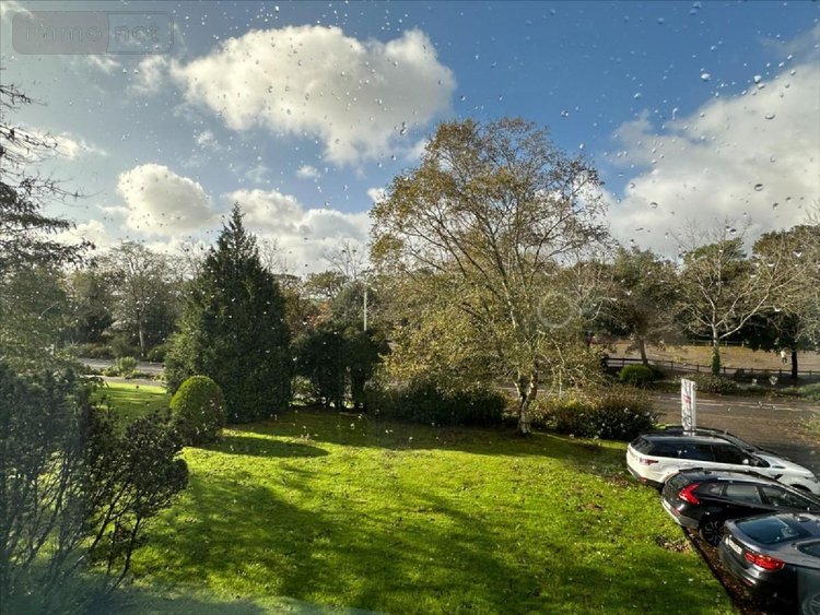 Immeuble a vendre Quimper 29000 Finistère 134 m2  193459 euros