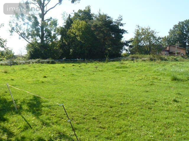 Terrain a batir a vendre Sainte-Barbe 88700 Vosges 2000 m2  40000 euros