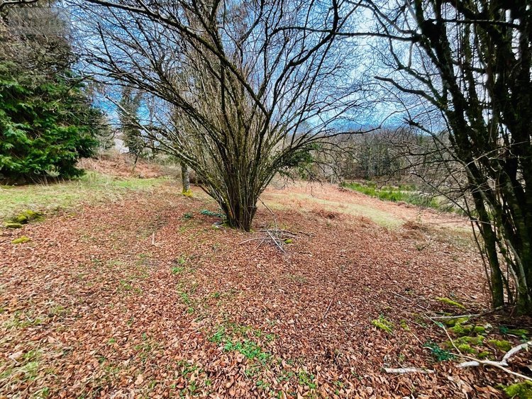 Maison a vendre Saint-Sylvestre 87240 Haute-Vienne 82 m2 3 pièces 63600 euros