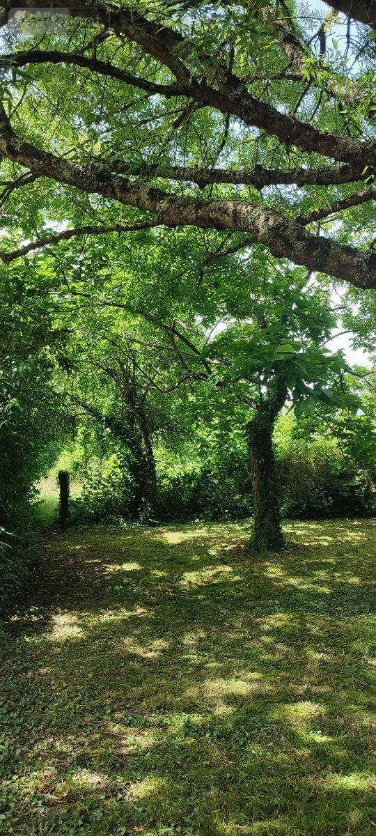 Maison a vendre Théhillac 56130 Morbihan 67 m2 4 pièces 74200 euros