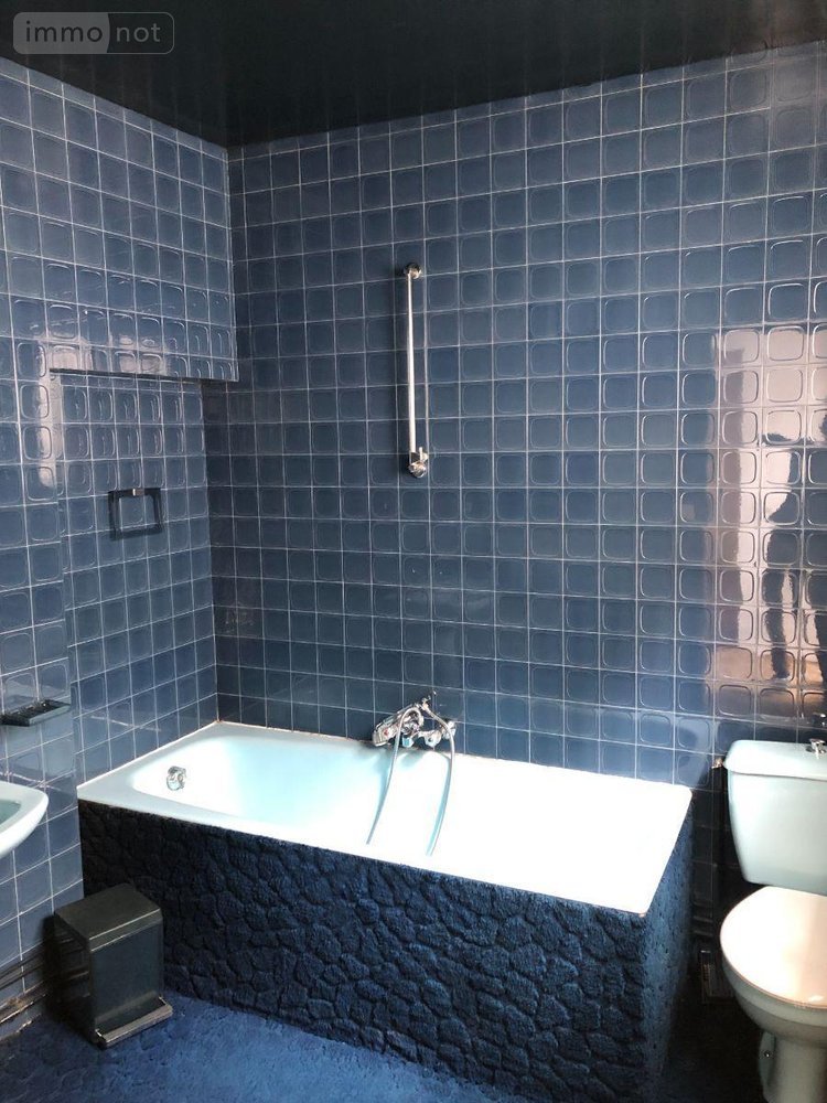 Immeuble a vendre Issoudun 36100 Indre 93 m2  46000 euros