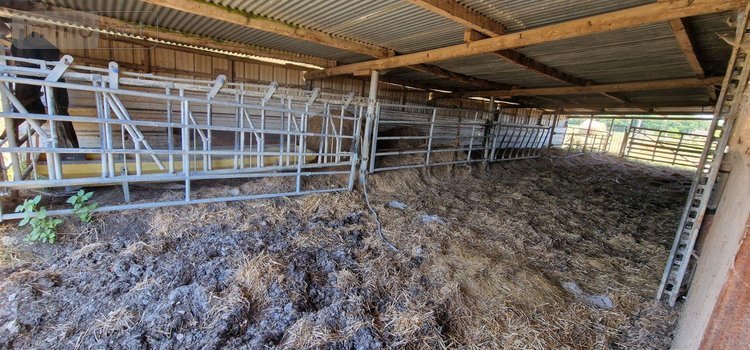 Maison a vendre Louhans 71500 Saône-et-Loire 153 m2 5 pièces 247400 euros