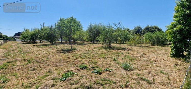 Maison a vendre Louhans 71500 Saône-et-Loire 153 m2 5 pièces 247400 euros