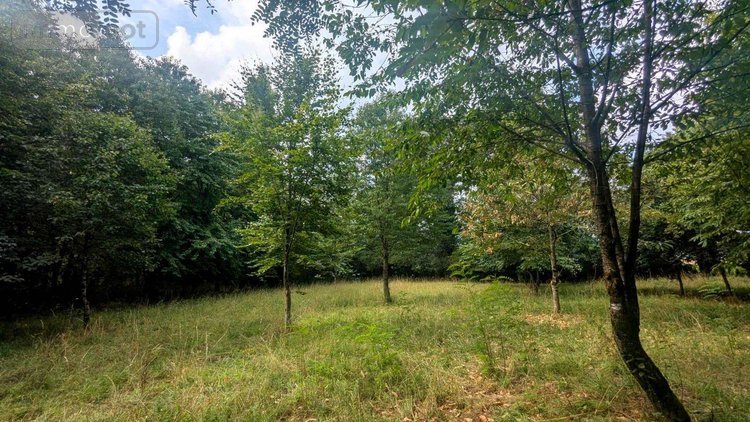 Maison a vendre Renac 35660 Ille-et-Vilaine 170 m2 7 pièces 292000 euros