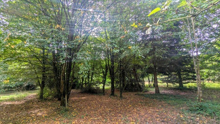 Maison a vendre Renac 35660 Ille-et-Vilaine 170 m2 7 pièces 292000 euros