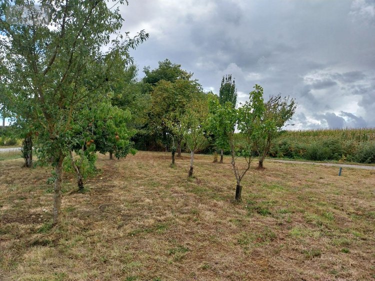 Maison a vendre Marpiré 35220 Ille-et-Vilaine 120 m2 1 pièce 89800 euros