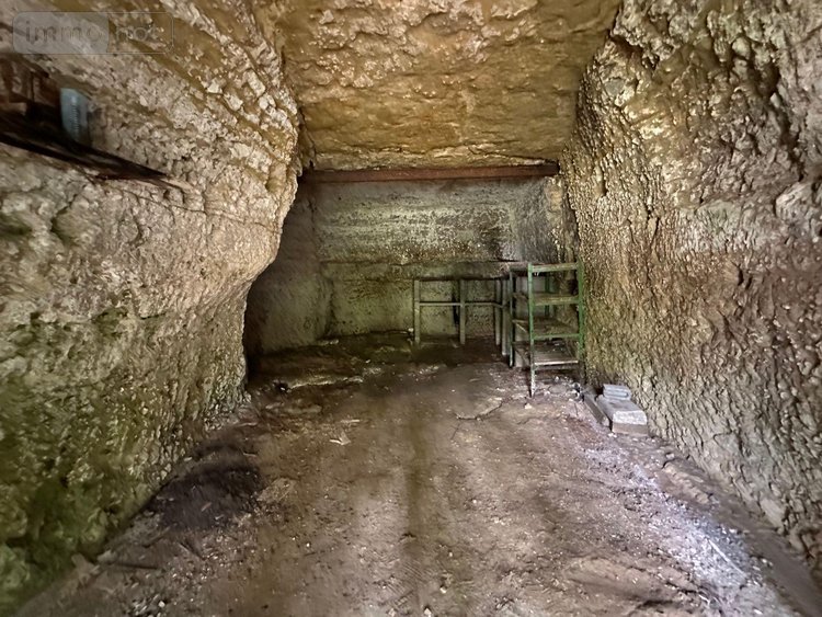 Maison a vendre Chissay-en-Touraine 41400 Loir-et-Cher 255 m2 11 pièces 246492 euros