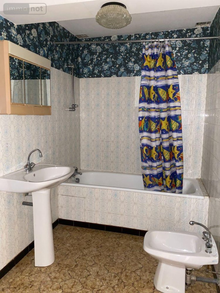 Immeuble a vendre Preuilly-sur-Claise 37290 Indre-et-Loire 120 m2  69000 euros