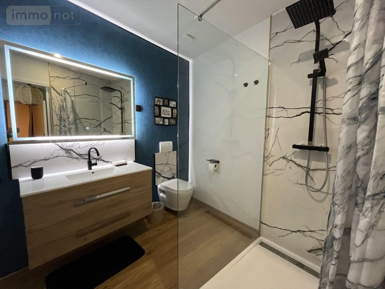 Maison a vendre Villedieu-sur-Indre 36320 Indre 157 m2 5 pièces 253920 euros