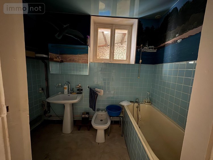 Maison a vendre Baudrecourt 52110 Haute-Marne 195 m2 7 pièces 91300 euros