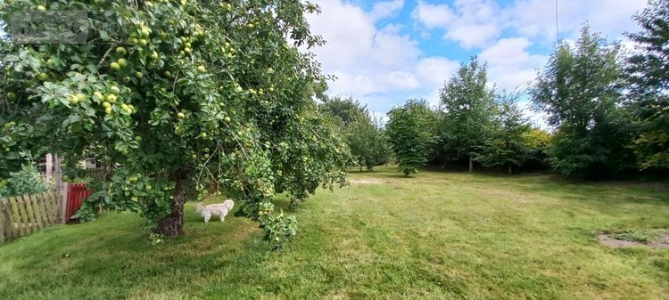 Maison a vendre Plouvien 29860 Finistère 133 m2 7 pièces 357000 euros